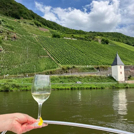 Hedwig Und Paul Apartment Mehring (Rhineland-Palatinate)