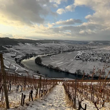 Apartment Hedwig Und Paul Mehring (Rhineland-Palatinate)
