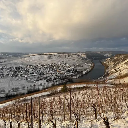 Hedwig Und Paul Apartment Mehring (Rhineland-Palatinate)